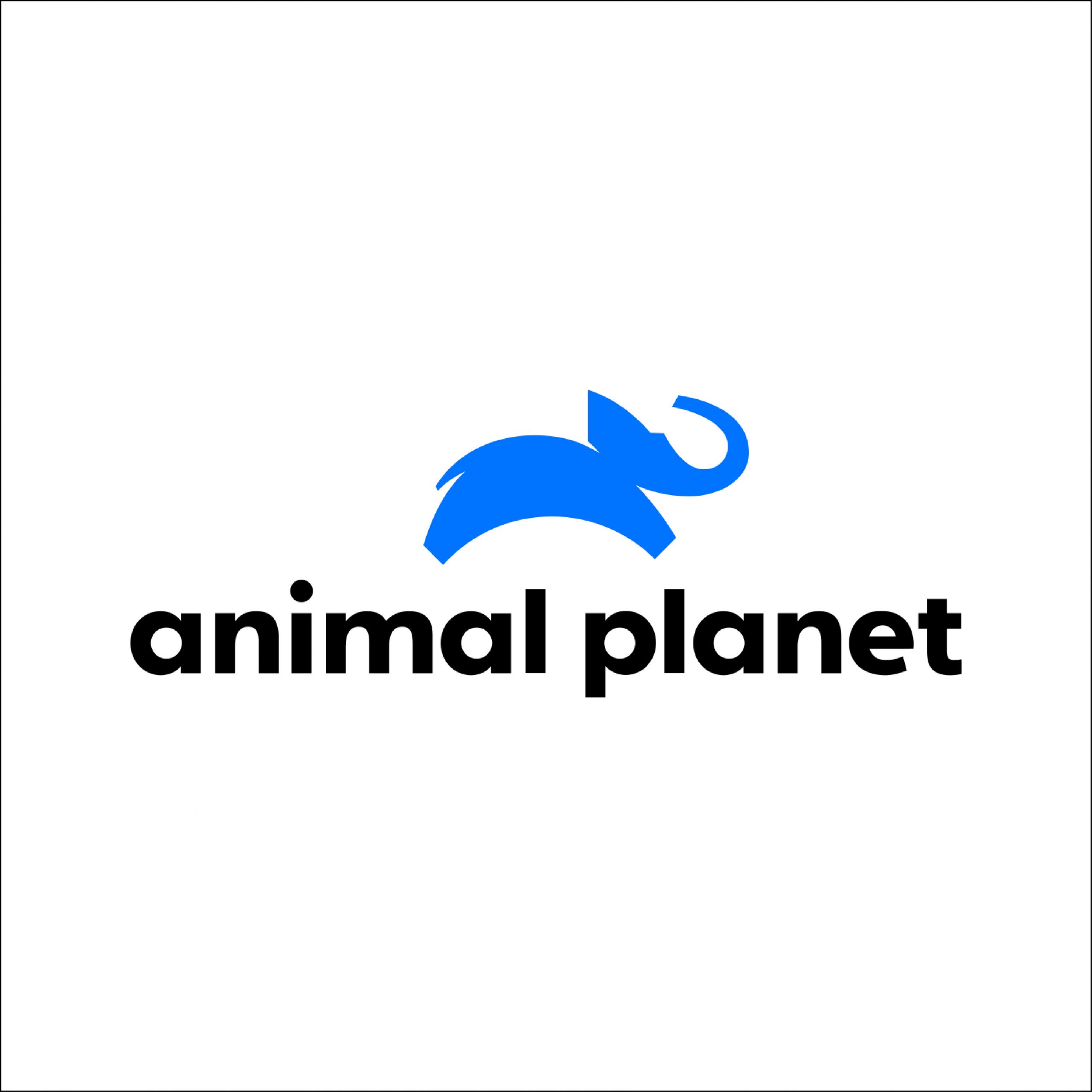 Animal Planet Alternate Broadcast Graphics